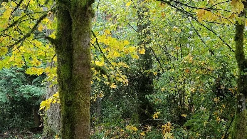 McCormick Dog Park - Gig Harbor, WA