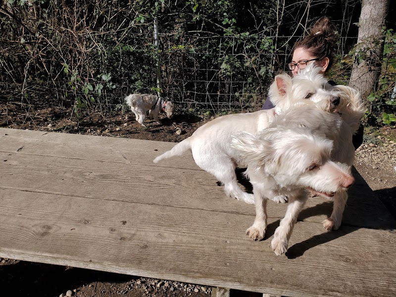 Rotary Bark Park - Gig Harbor, WA
