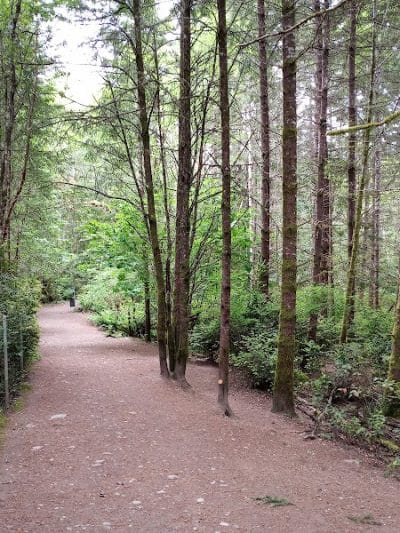 Rotary Bark Park - Gig Harbor, WA