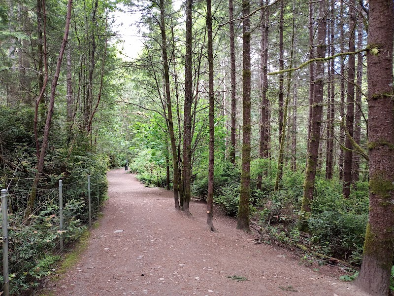 Rotary Bark Park - Gig Harbor, WA