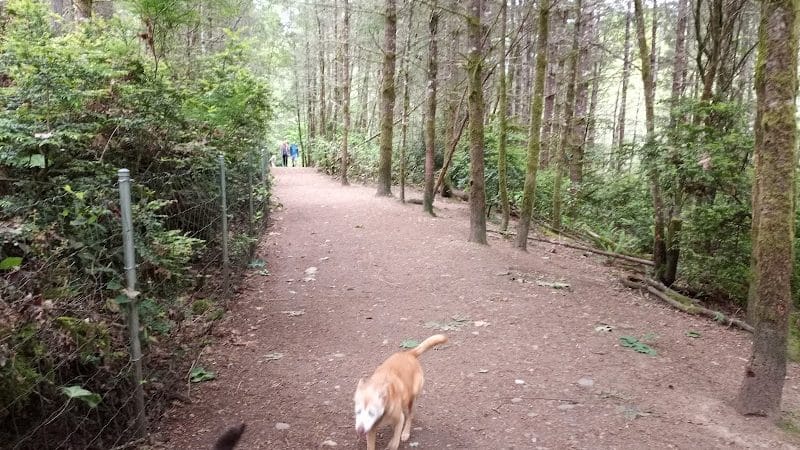 Rotary Bark Park - Gig Harbor, WA