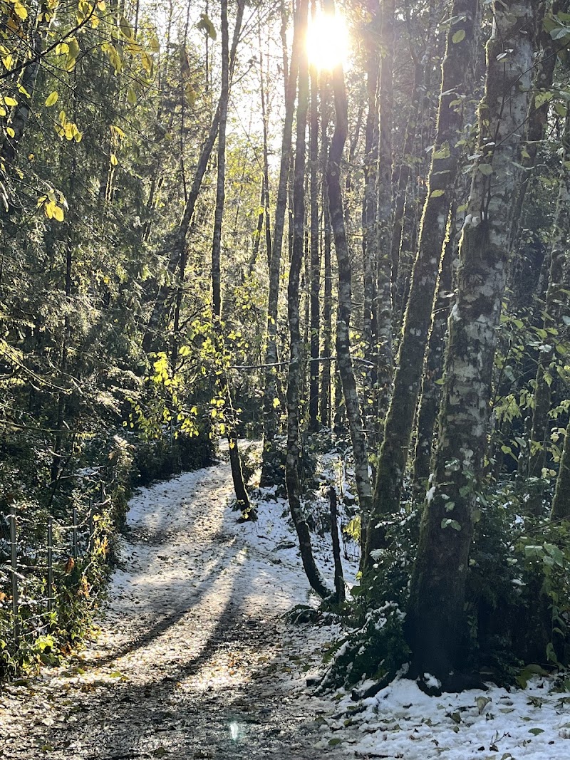 Rotary Bark Park - Gig Harbor, WA