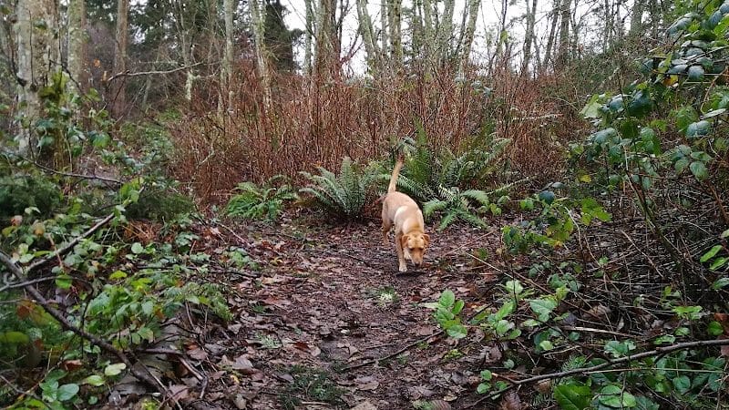 Tubby's Trail Dog Park - Gig Harbor, WA