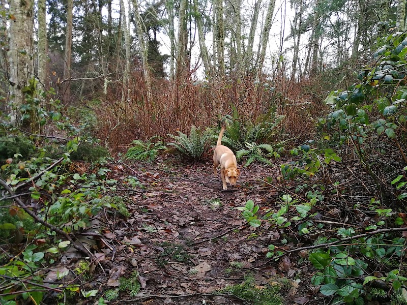 Tubby's Trail Dog Park - Gig Harbor, WA