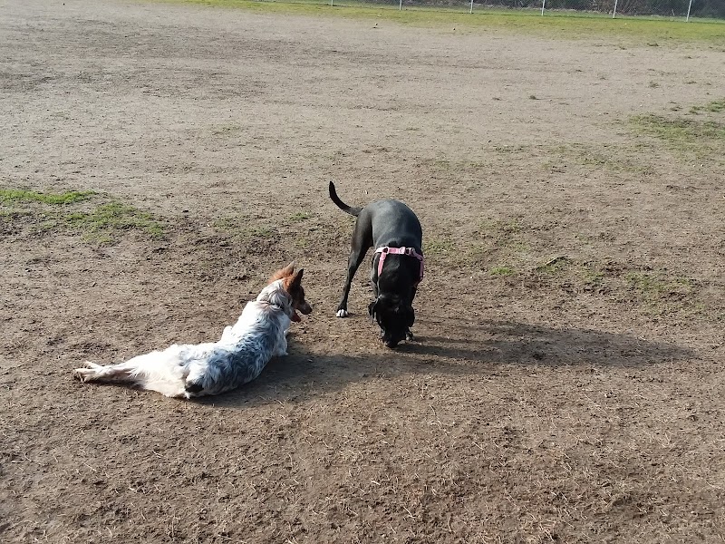 Tubby's Trail Dog Park - Gig Harbor, WA