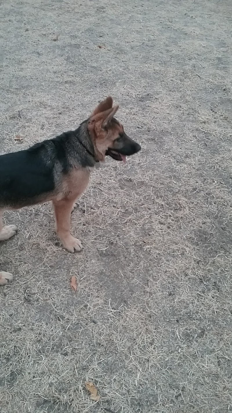 Tubby's Trail Dog Park - Gig Harbor, WA