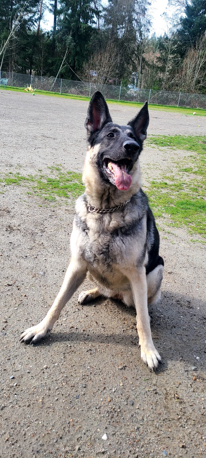 Tubby's Trail Dog Park - Gig Harbor, WA