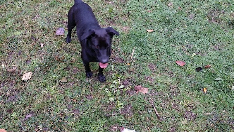Tubby's Trail Dog Park - Gig Harbor, WA