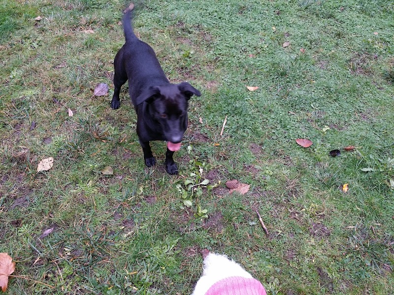 Tubby's Trail Dog Park - Gig Harbor, WA