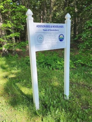 Addison Bog & Woodlands