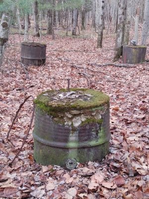 Addison Bog & Woodlands