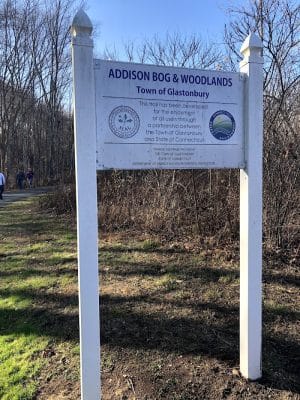 Addison Bog & Woodlands