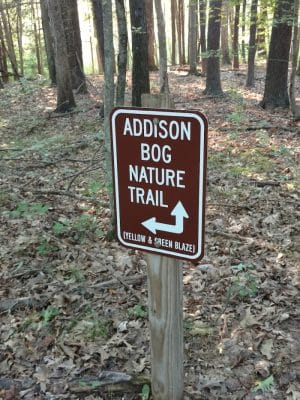 Addison Bog & Woodlands
