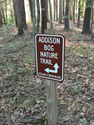 Addison Bog & Woodlands