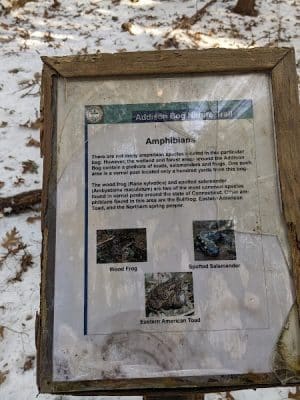 Glastonbury Multi-Use Trail