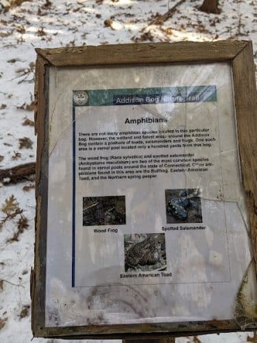 Glastonbury Multi-Use Trail