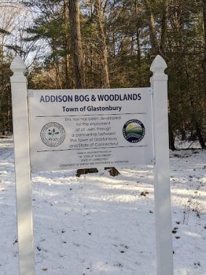 Glastonbury Multi-Use Trail