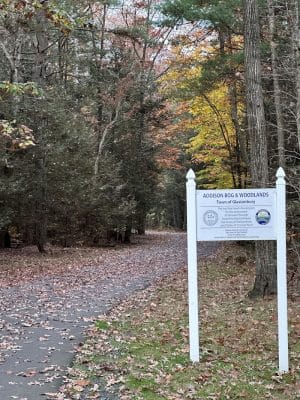 Glastonbury Multi-Use Trail