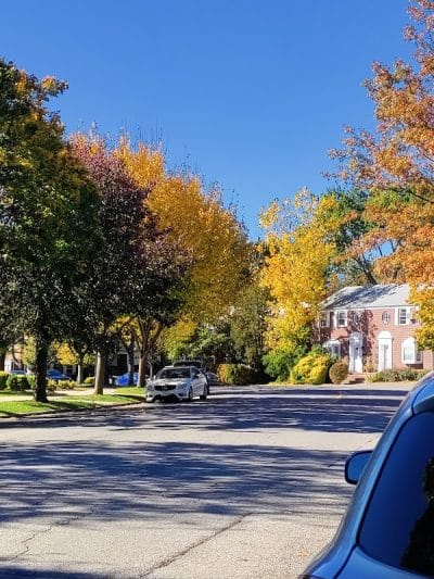 Glen Oaks Oval - Glen Oaks, NY