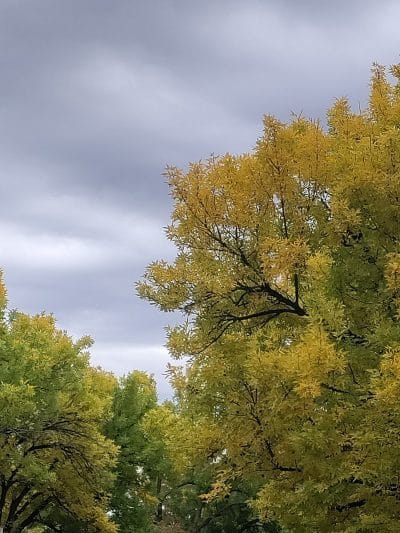 Glen Oaks Oval - Glen Oaks, NY