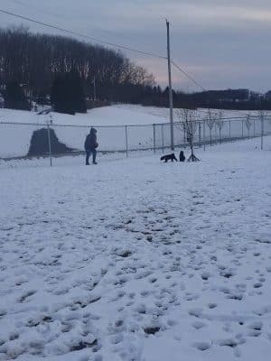 Glen Rock Dog Park - Glen Rock, PA