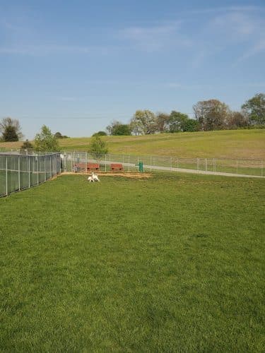 Glen Rock Dog Park - Glen Rock, PA