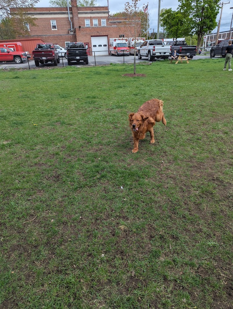 Ridge Street Dogpark - Glens Falls, NY