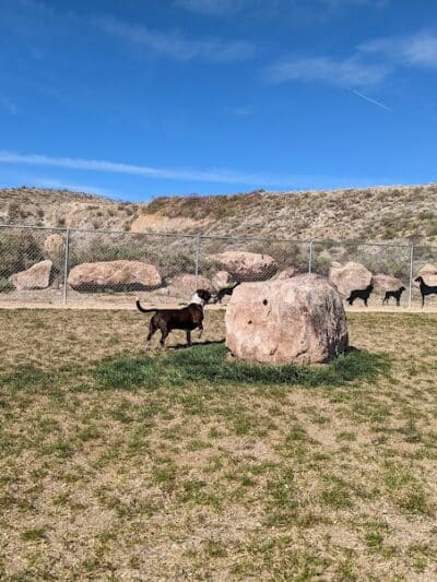 Dog Park - Globe, AZ