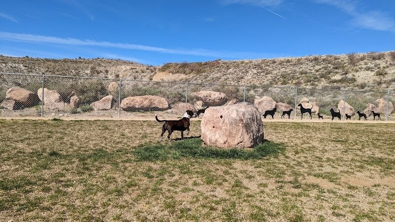 Dog Park - Globe, AZ