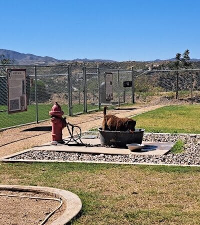 Dog Park - Globe, AZ