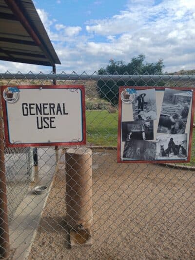 Dog Park - Globe, AZ