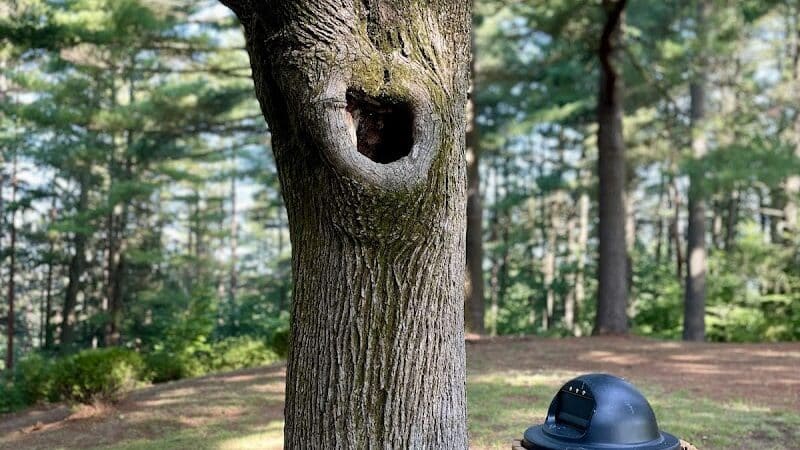 Myers park - Gloversville, NY