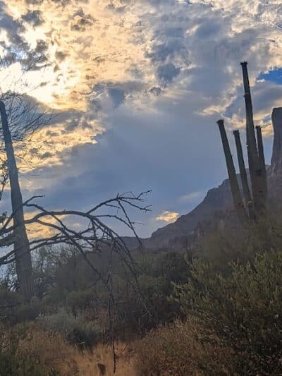 Carney Springs Waterfall - Gold Canyon, AZ