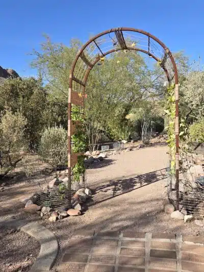 Dinosaur Park - Gold Canyon, AZ
