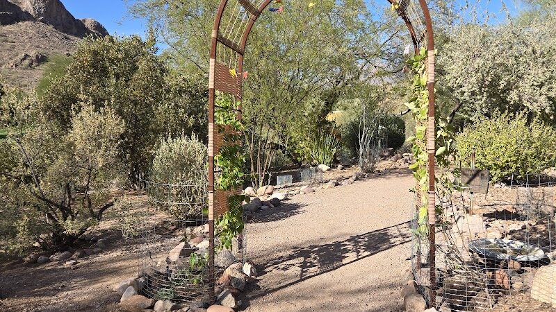 Dinosaur Park - Gold Canyon, AZ