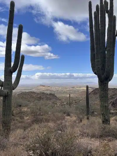 Lost Goldmine Trailhead and Cougar loop - Gold Canyon, AZ