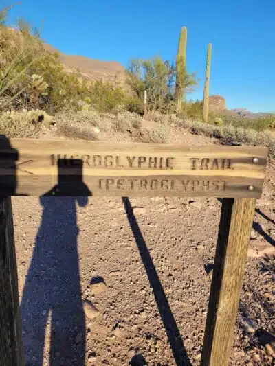 Lost Goldmine Trailhead and Cougar loop - Gold Canyon, AZ