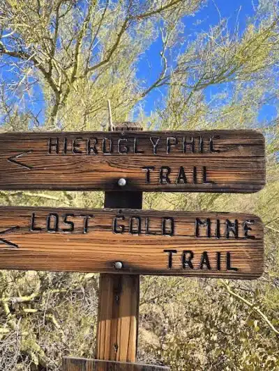 Lost Goldmine Trailhead and Cougar loop - Gold Canyon, AZ