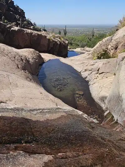 Lost Goldmine Trailhead and Cougar loop - Gold Canyon, AZ