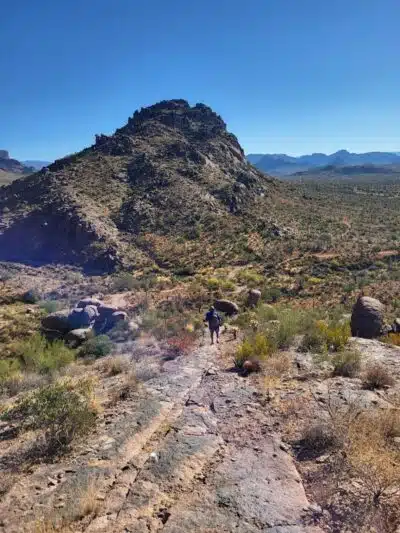 Lost Goldmine Trailhead and Cougar loop - Gold Canyon, AZ