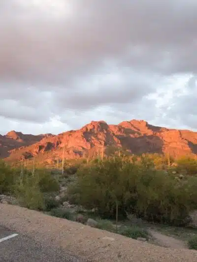 Lost Goldmine Trailhead and Cougar loop - Gold Canyon, AZ