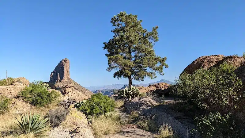 Peralta Trailhead - Gold Canyon, AZ