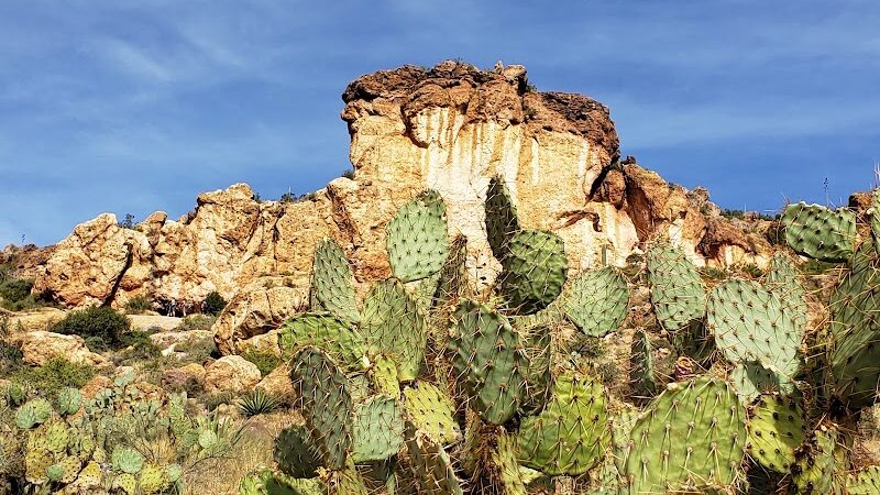 Peralta Trailhead - Gold Canyon, AZ