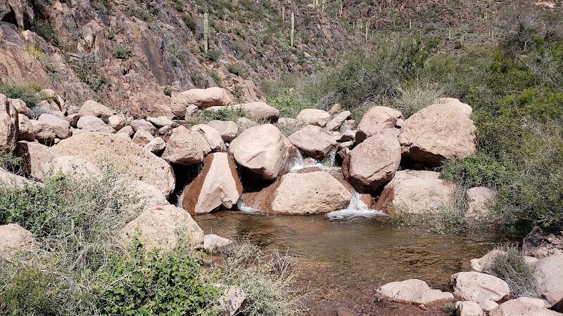 Petroglyph Spring - Gold Canyon, AZ