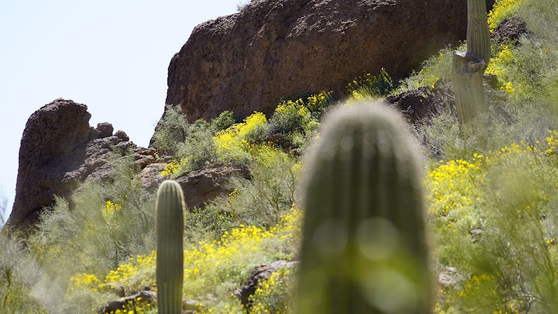 The Wave Cave - Gold Canyon, AZ