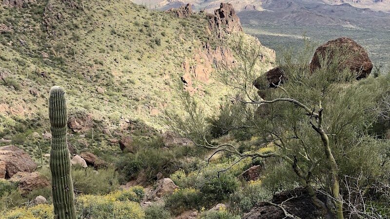 Carney Springs Trailhead - Gold Canyon, AZ