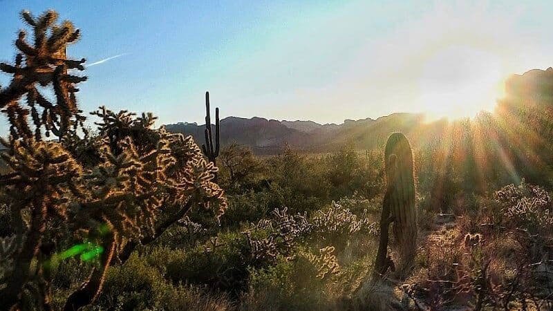 Carney Springs Trailhead - Gold Canyon, AZ