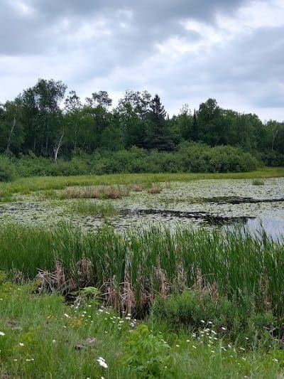 Gordon Dam County Park & Campground - Gordon, WI