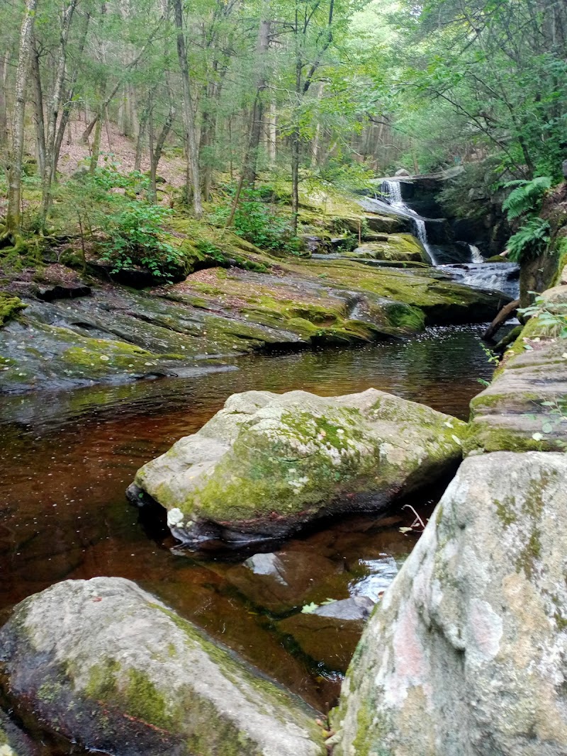 Granby Dog Park - Granby, CT