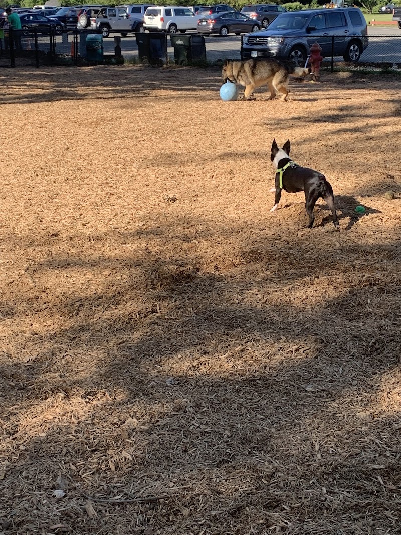 Granby Dog Park - Granby, CT
